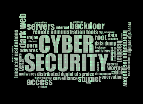 cybersecurity immagine grafica per il corso sul malwhare